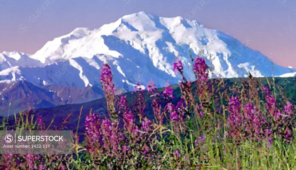Mount McKinley Denali National Park Alaska USA