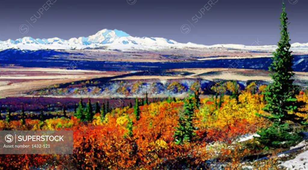 Mount McKinley Denali National Park Alaska USA