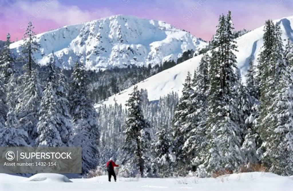 Rear view of a person standing in front of a snowcapped mountain, Truckee, California, USA