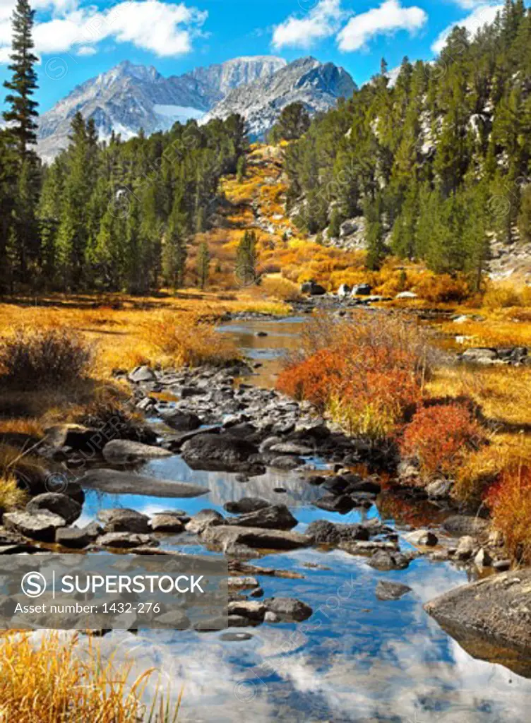 Stream running through a landscape, Upper Rock Creek, Californian Sierra Nevada, California, USA