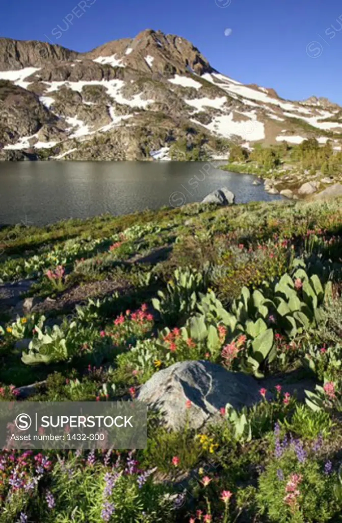 Lake in front of mountains, Carson Pass, Californian Sierra Nevada, California, USA