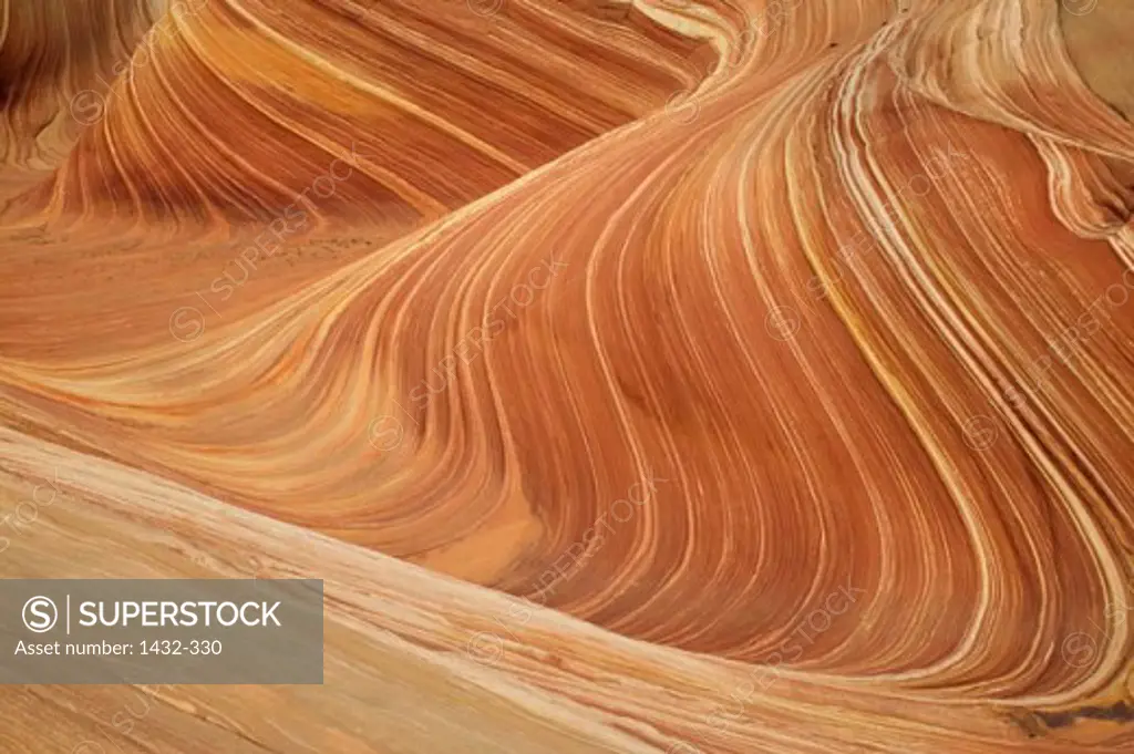 High angle view of a canyon, Arizona, USA