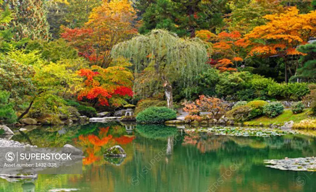 Reflection of trees in water, Japanese Garden, Seattle, Washington State, USA