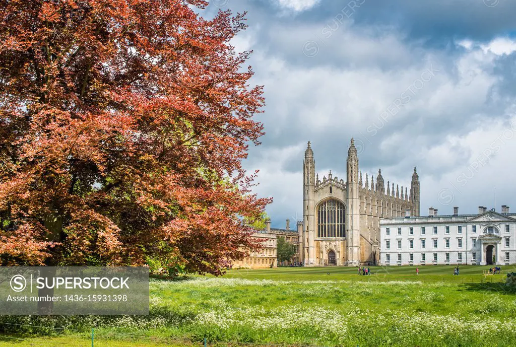 Kings College chapel. Cambridge University, Cambridgeshire, England. UK.