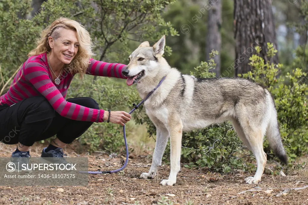Young mature blonde woman with a wolf dog. Navarre, Spain, Europe.