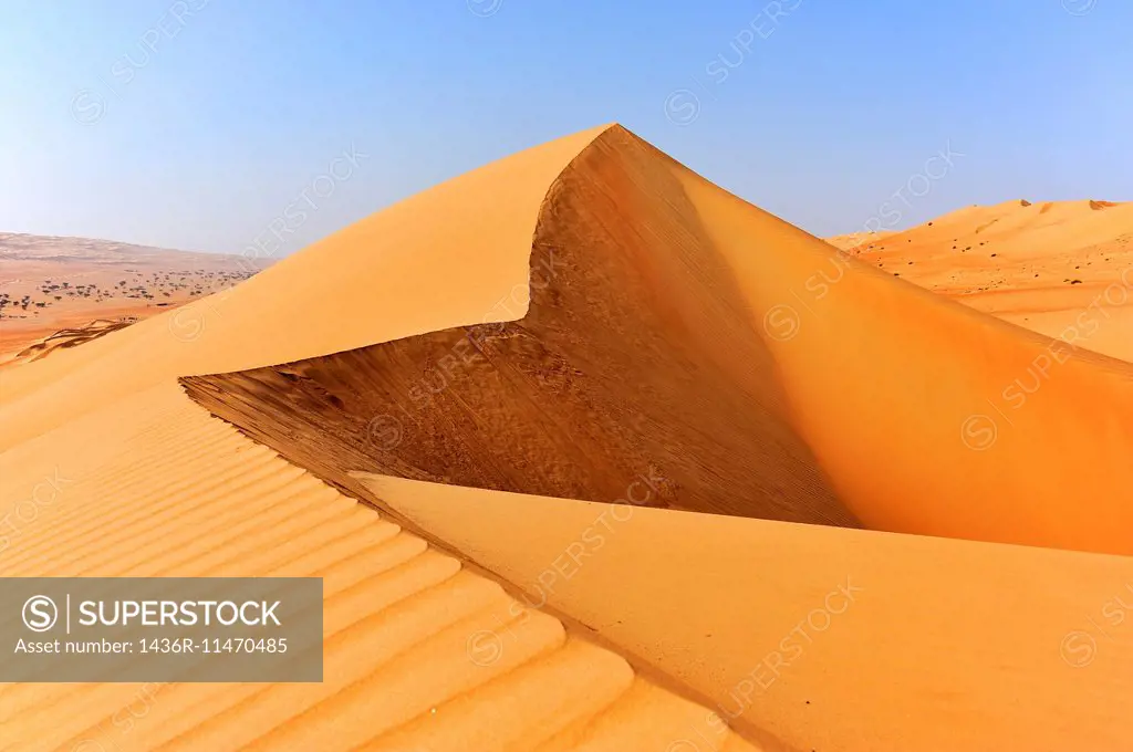 Dunes in the desert Rimal Al Wahiba, Wahiba Sands, Sultanate of Oman.