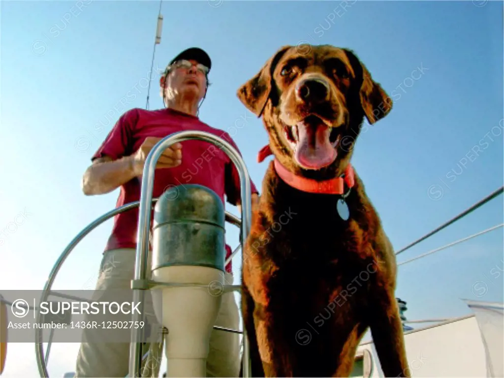 Senior man steering a sailboat with a dog