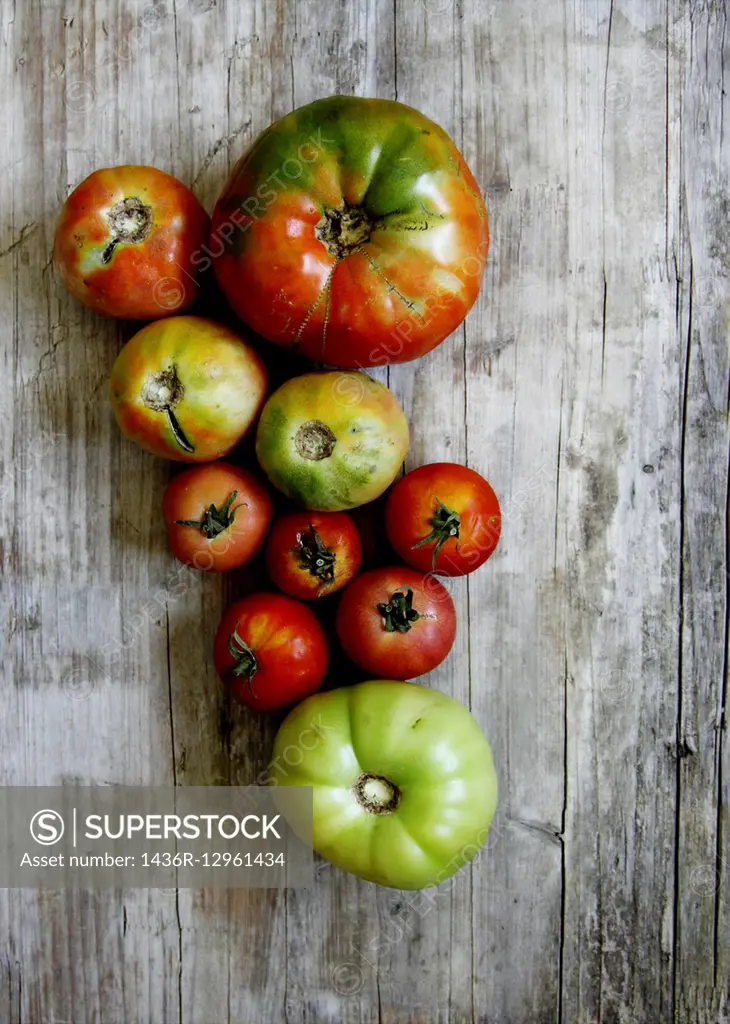 different sizes of tomatoes.