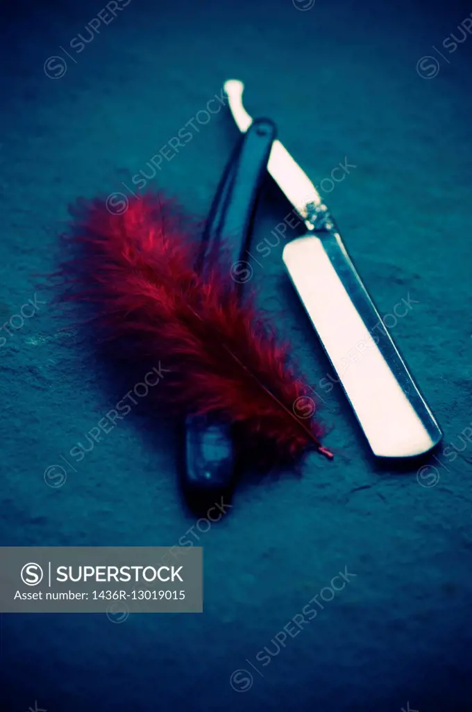 Red feather next to a cutthroat razor.