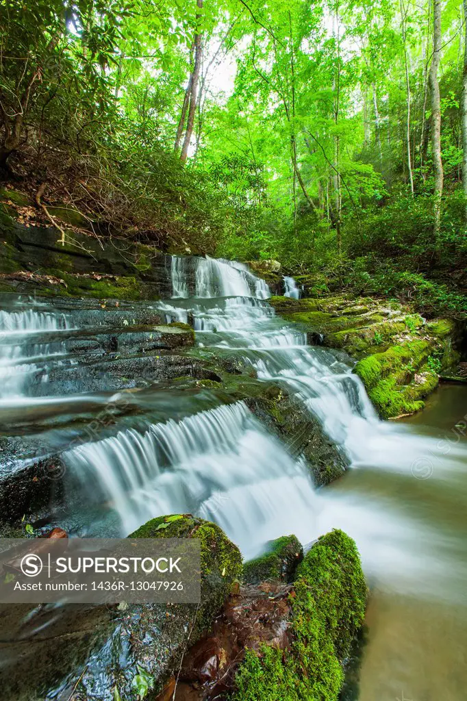 Waterfalls on Rhododendron Creek in Greenbrier, Great Smoky Mountains National Park ,TN.