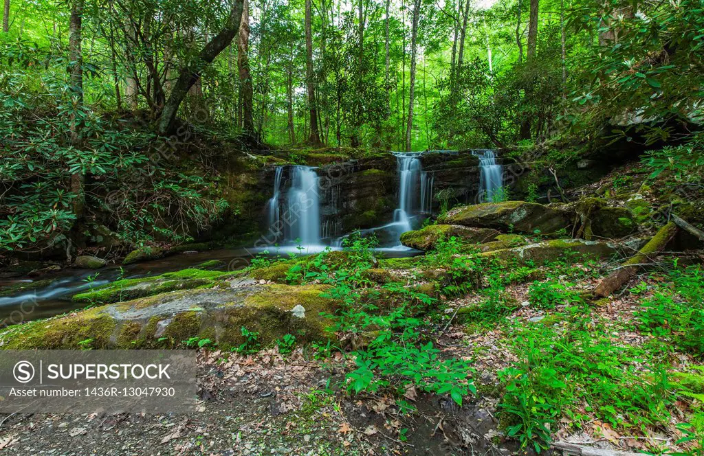 Waterfalls on Rhododendron Creek in Greenbrier, Great Smoky Mountains National Park ,TN.  