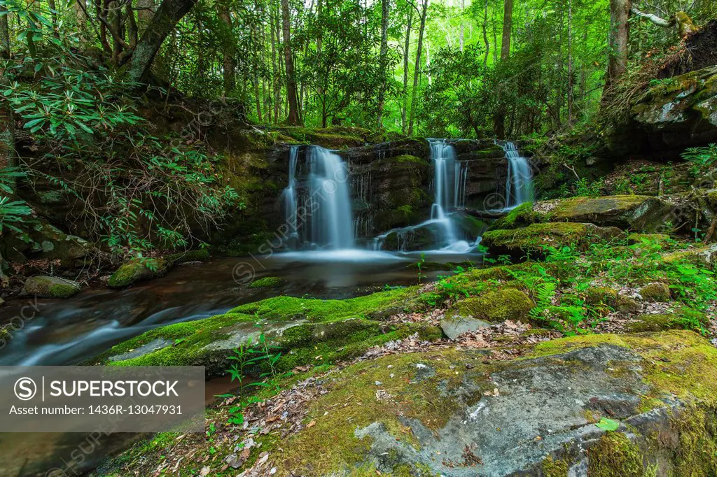 Waterfalls on Rhododendron Creek in Greenbrier, Great Smoky Mountains National Park ,TN.
