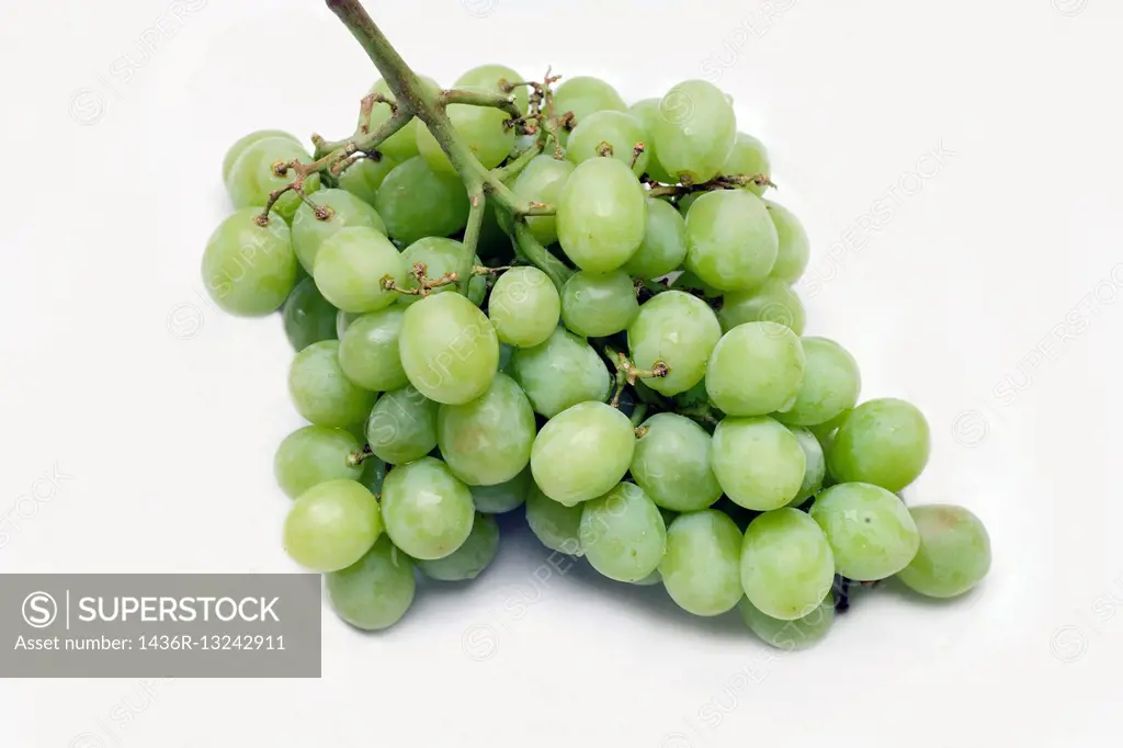 Green seedless grapes against a white background.