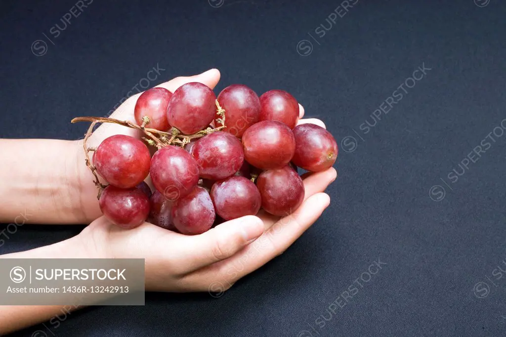 A pair of hands hold seeded grapes against a black background.