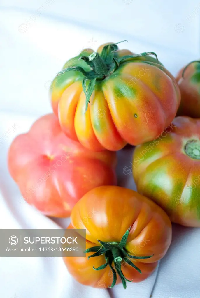 montserrat tomatoes.