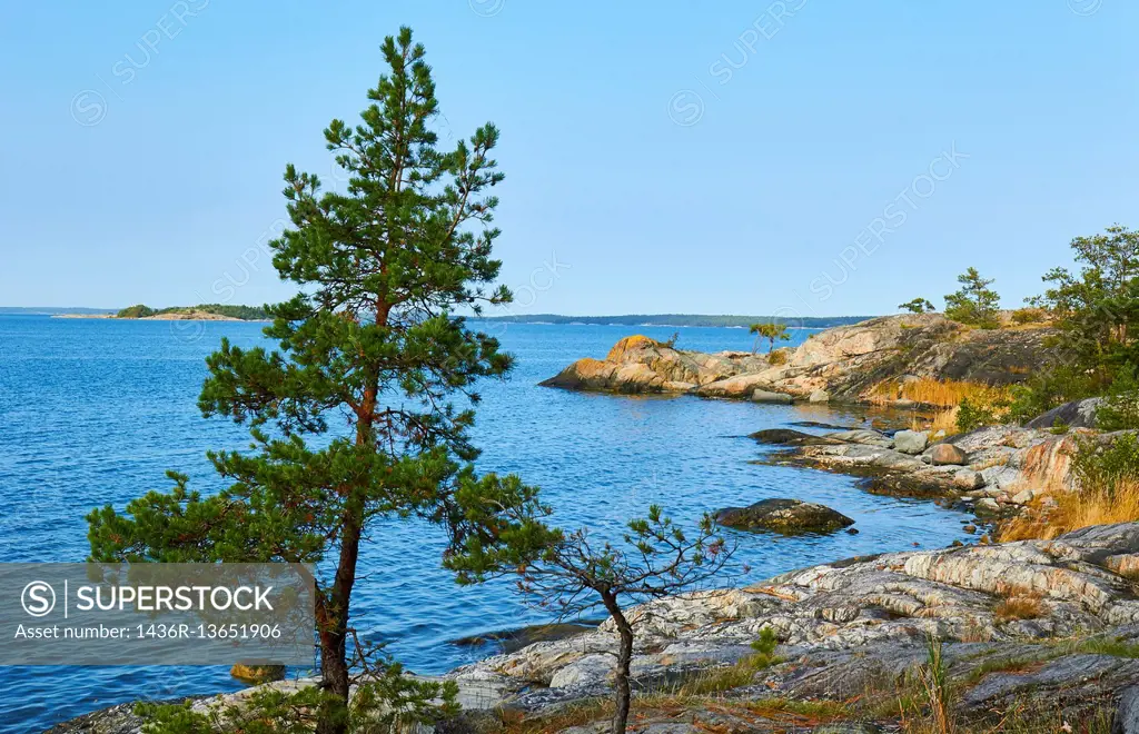 Coast of Uto an island in the Baltic Sea, Stockholm archipelago, Sweden, Scandinavia