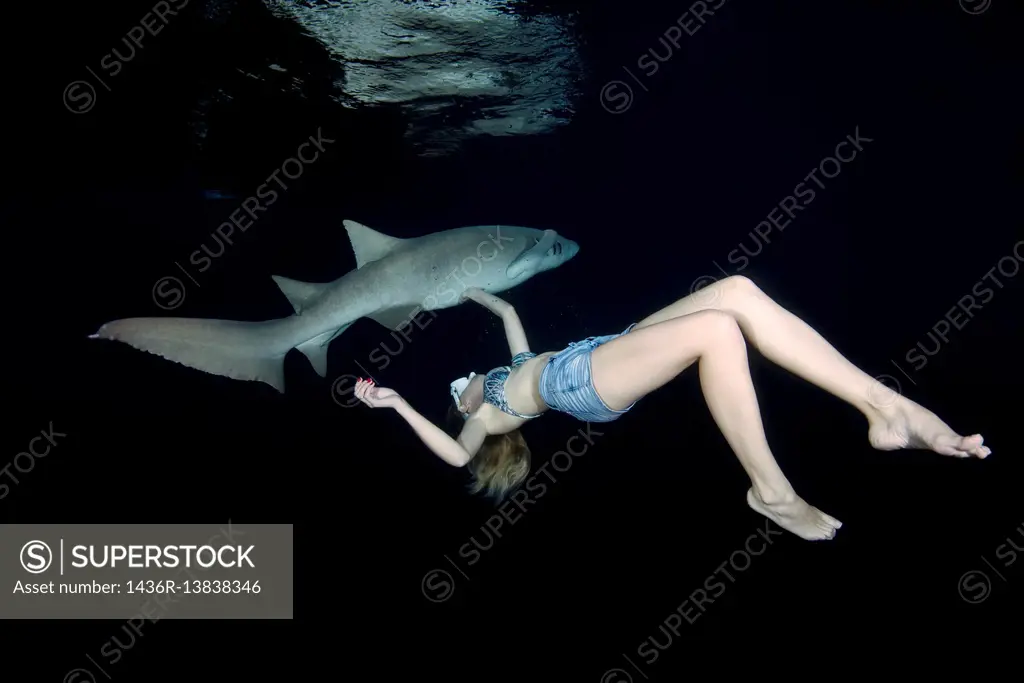 Young beautiful woman swims at night with a shark - Tawny nurse sharks (Nebrius ferrugineus), Indian Ocean, Maldives.