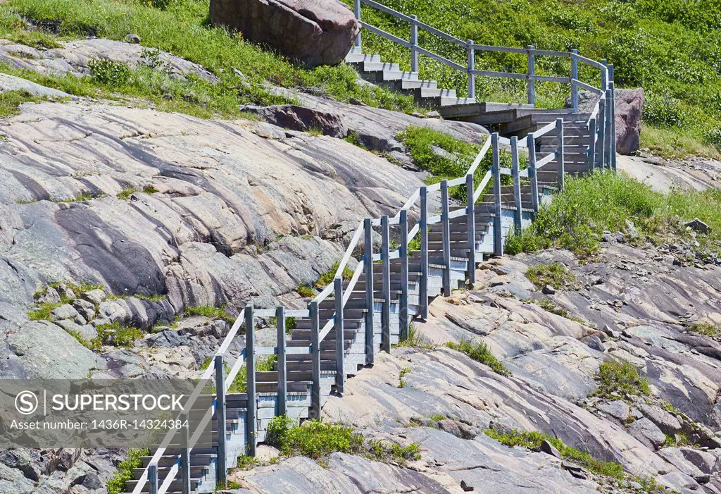 Wooden walkway and steps on North Head hiking trail, a narrow path around Signal Hill, St John's, Newfoundland, Canada