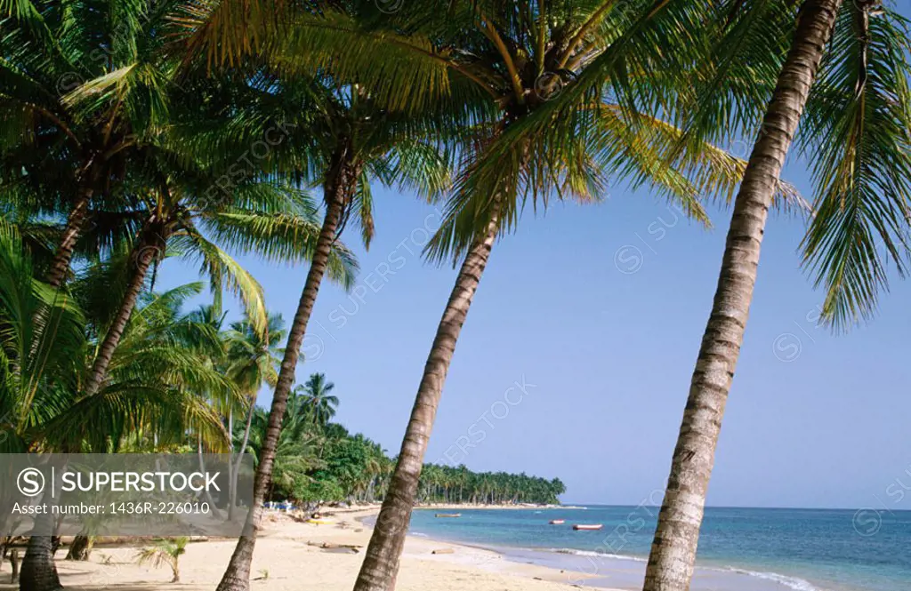 Beach. Las Terrenas. Samana Peninsula. Dominican Republic. West Indies. Caribbean