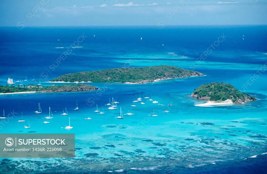 Tobago Cays. Saint Vincent and the Grenadines. West Indies. Caribbean