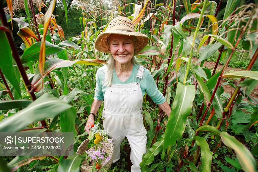 Senior woman with straw hat looking into camera standing in her corn field