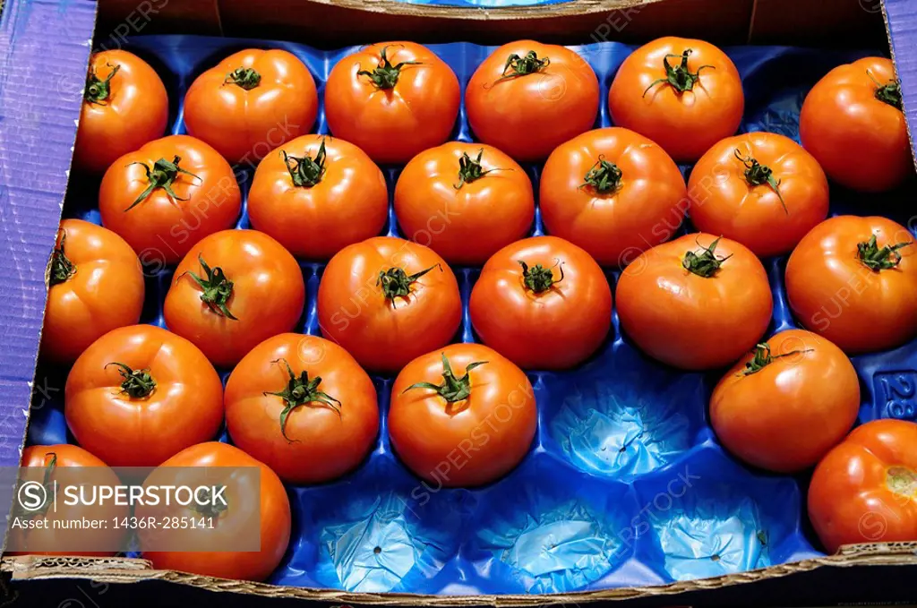 Tomatoes for sale at La Boqueria market, Barcelona. Catalonia, Spain