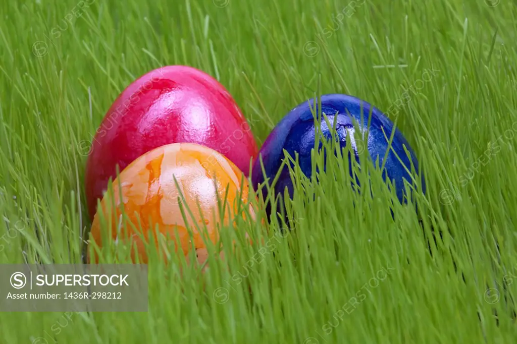 Easter eggs on the grassland / Ostereier auf der Wiese