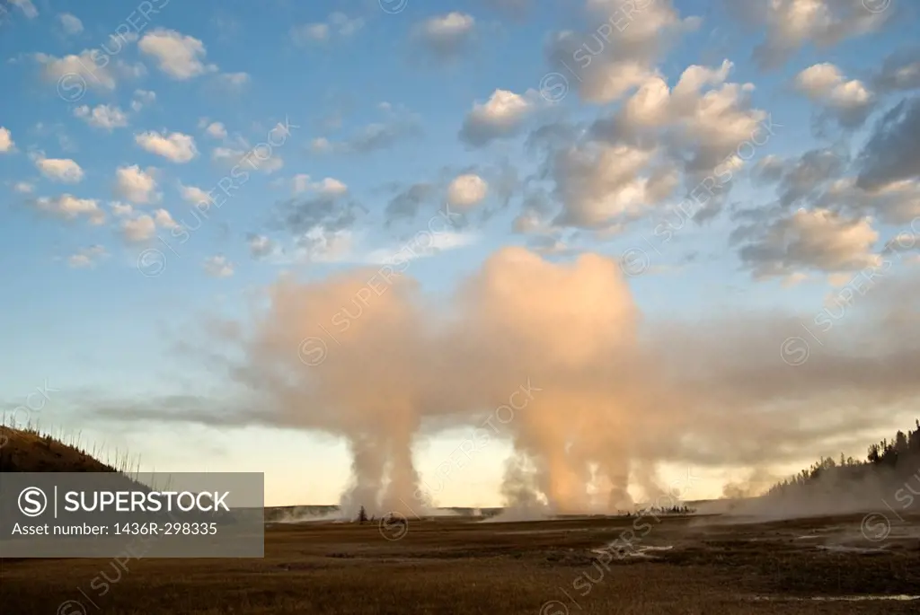 Sunrise casts an eerie glow on erupting geysers at Geyser Valley in Yellowstone Park
