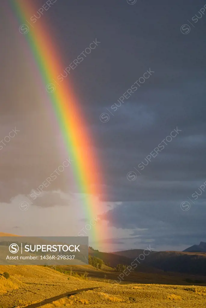 As a rain storm passes, the setting sun creates a vibrant rainbow in Lamar valley, Yellowstone Park, Wyoming