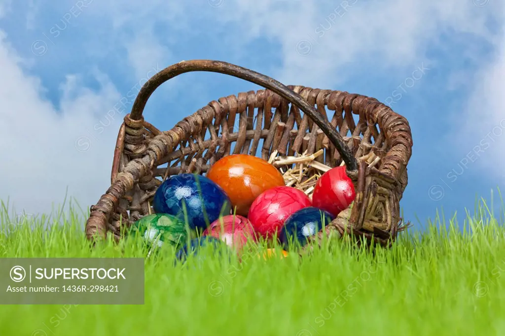 Ostereier im Korb mit Himmel / Easter eggs in a basket on the grassland and the heaven in the background