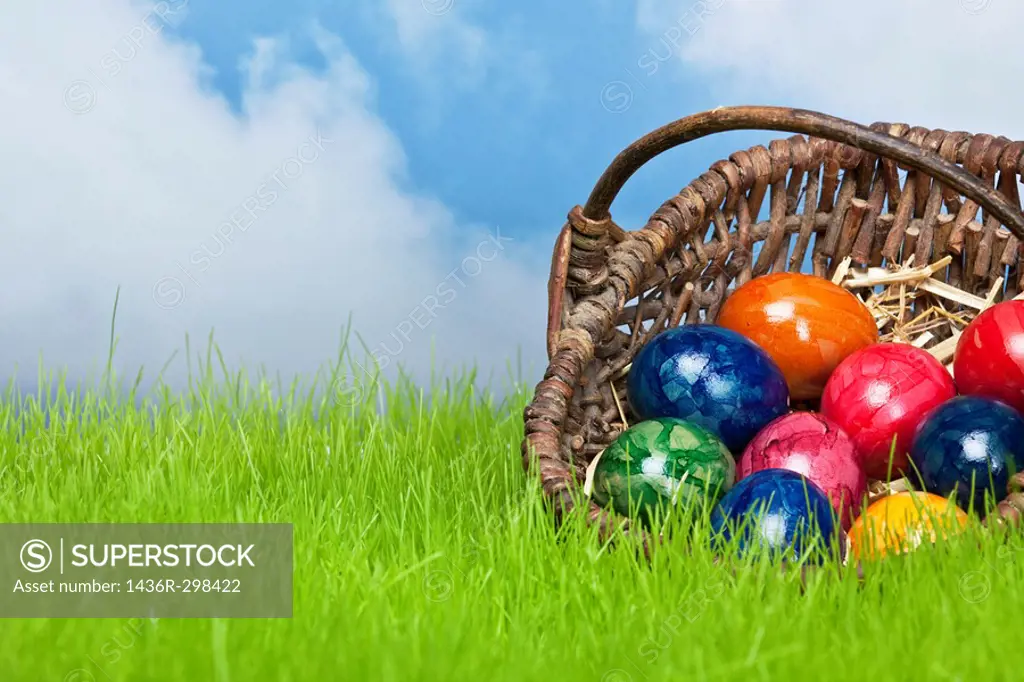 Ostereier im Korb mit Himmel / Easter eggs in a basket on the grassland and the heaven in the background