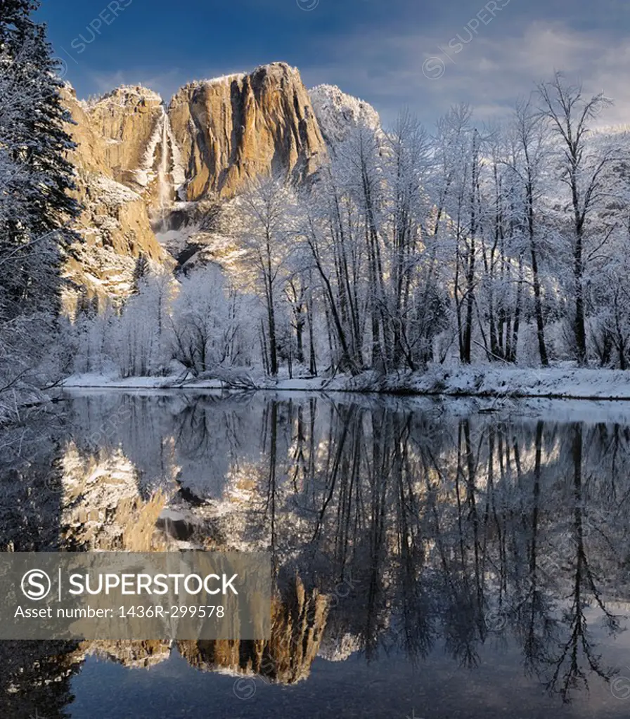 Snow covered trees and Yosemite Point and the Upper Fall reflected in the Merced River in winter