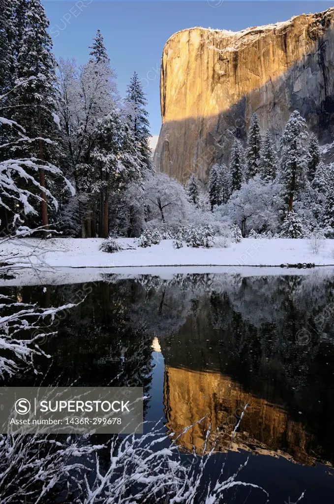 Sunrise on El Capitan reflected in the Merced River with snow covered trees in Yosemite Valley