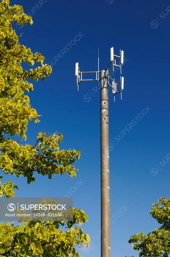 Cell phone communications tower among trees against a blue sky