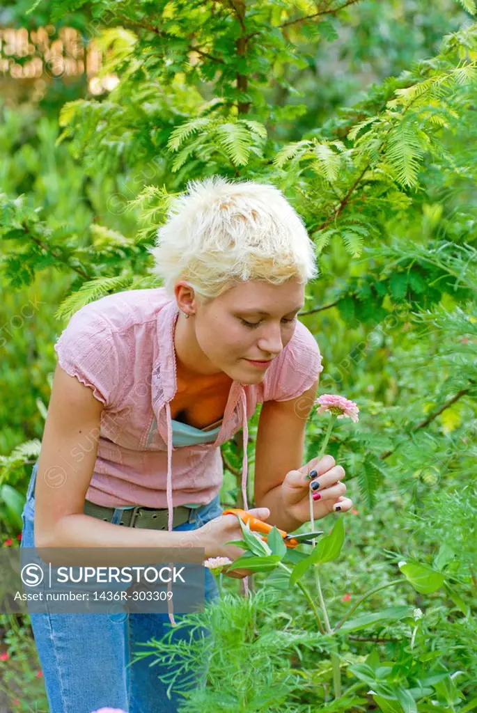 21 year old blond woman in a summer garden cutting perennial flowers