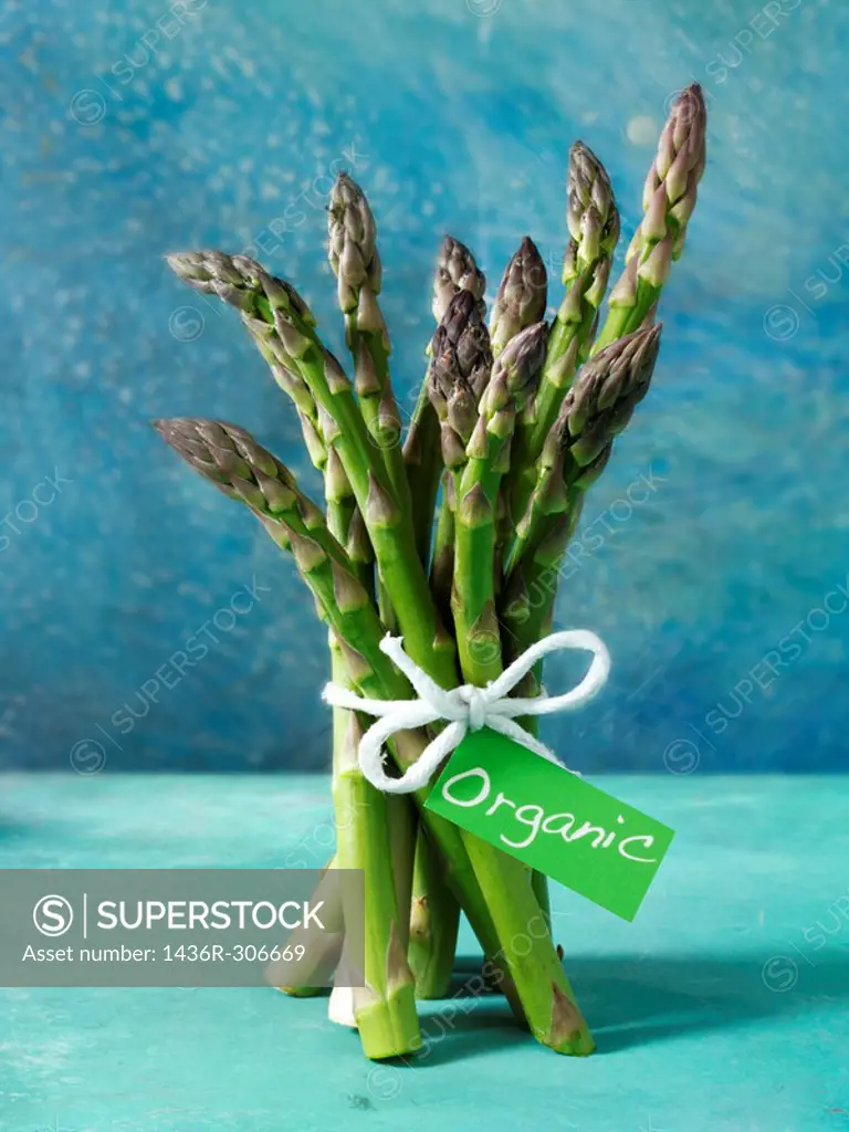 bunch of fresh organic asparagus spears