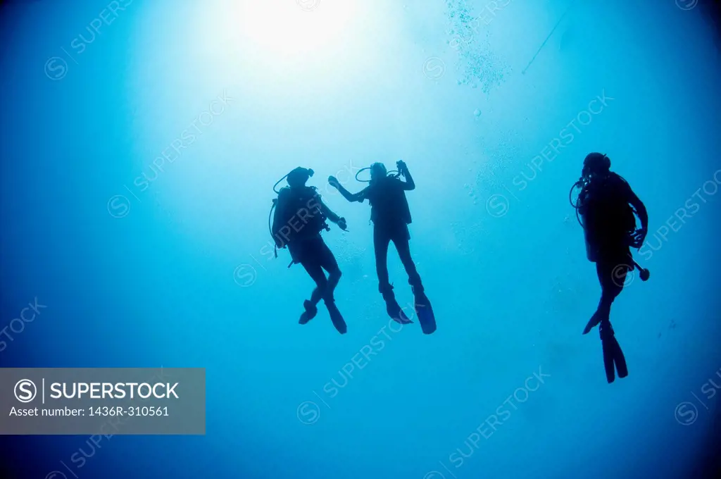 Cuba divers in the water photographed at Ras Mohammed National Park, Red Sea, Sinai, Egypt,