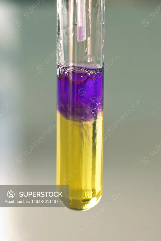 Conceptual image of a science experiment  Test tubes in a rack
