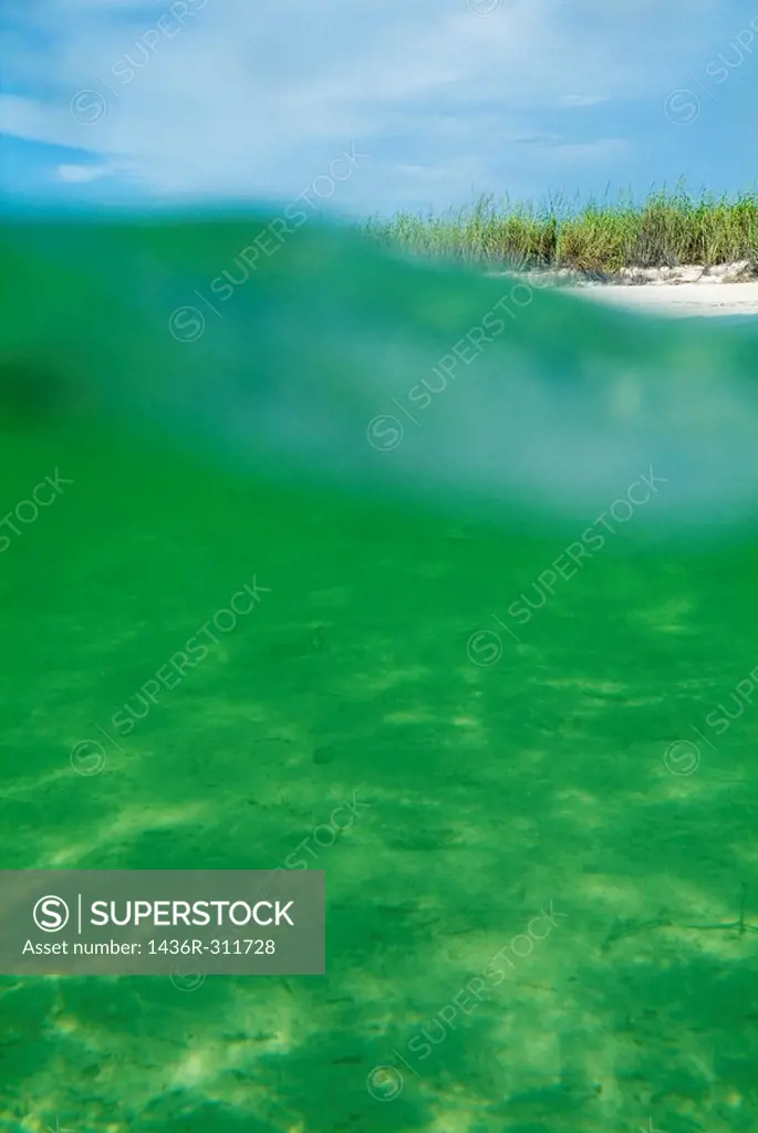 Bright green water and white sand beach with wild grasses, Cayo Jutias, Cuba.