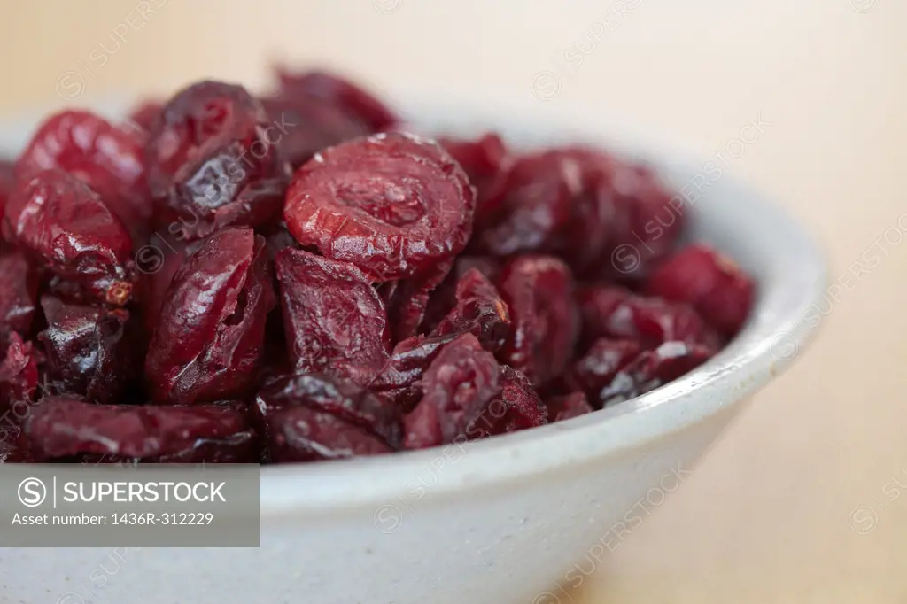 Dried Cranberries in a Bowl