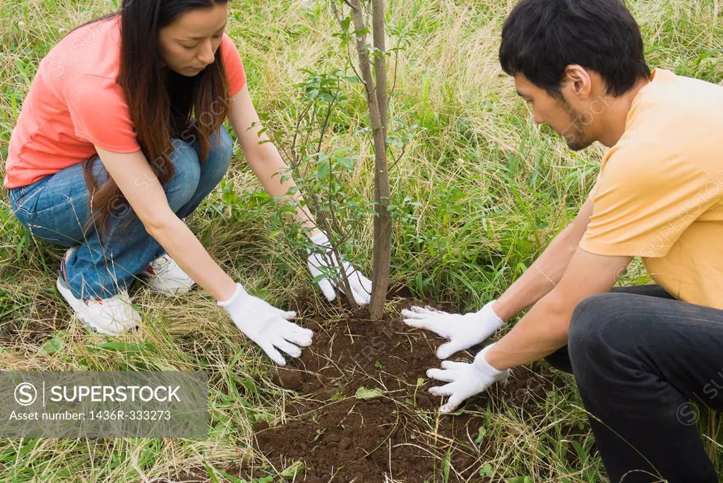 Young people planting tree