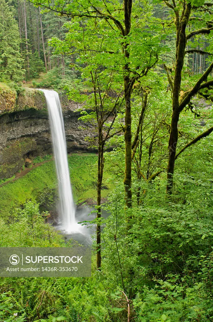 North Falls in Silver Falls State Park near Silverton, Oregon, USA