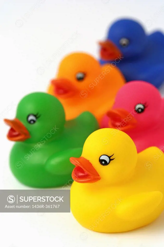 Bath ducklings