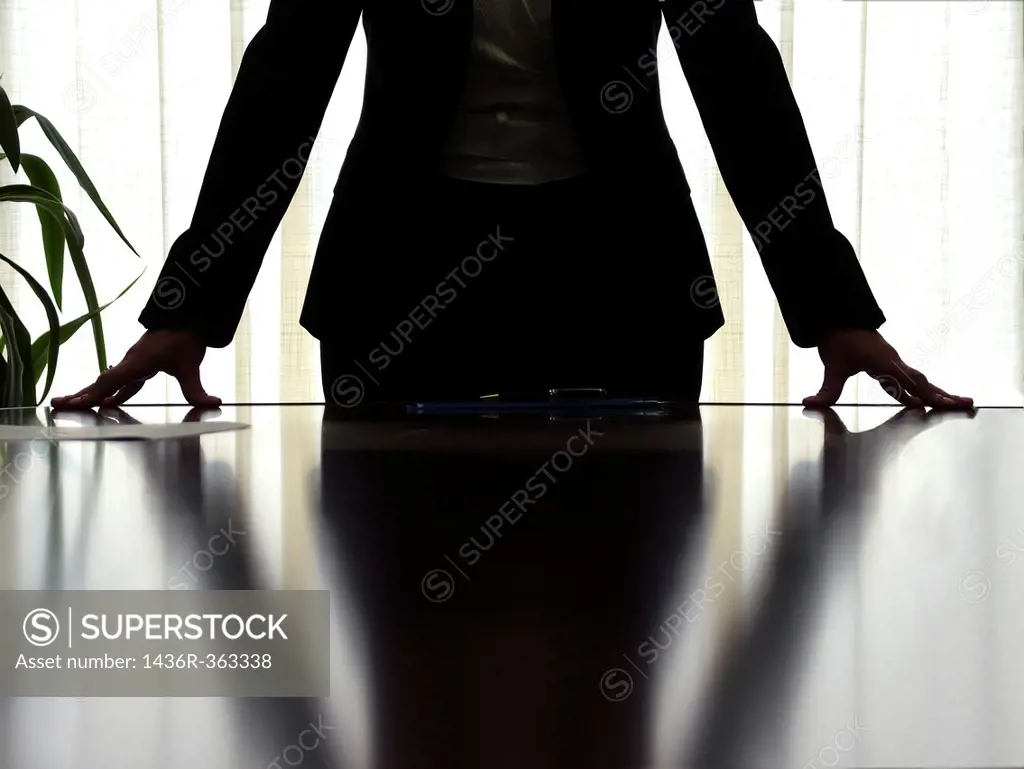 Woman manager in a business stance during a meeting