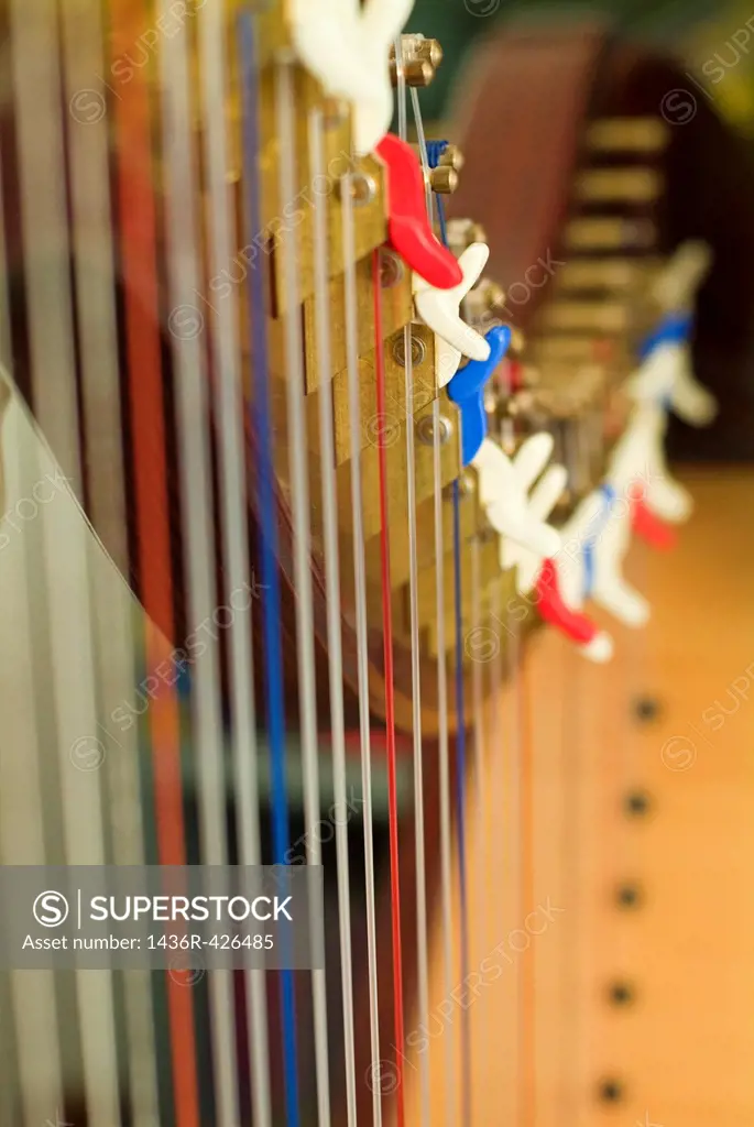 Strings lined up in a row and tightly stretched on a harp