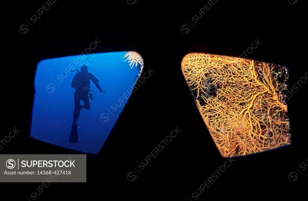 Looking through a diving mask of a diver at a diver and coral