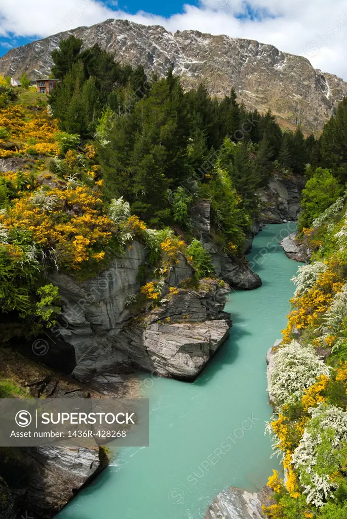 Shotover River, Queenstown, South Island, New Zealand