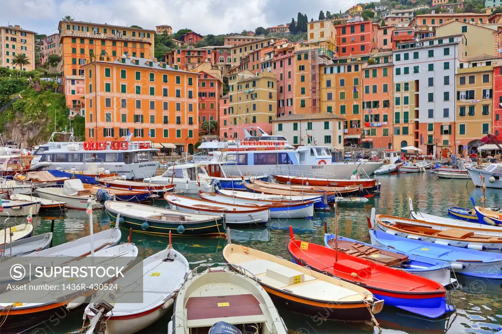Camogli is an ancient port city in Liguria, on the Golfo Paradiso, Italy