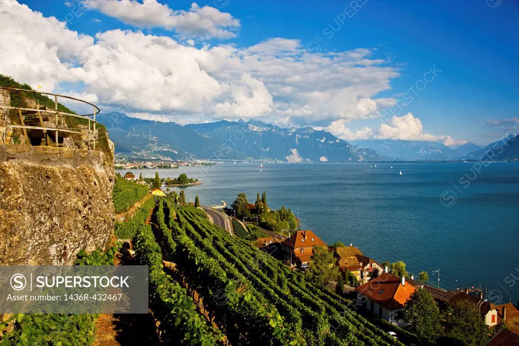 View of Lavaux and Lake Leman  Lavaux is part of a World Heritage Site and is a wine production area with terraces formed since the time of the Romans...