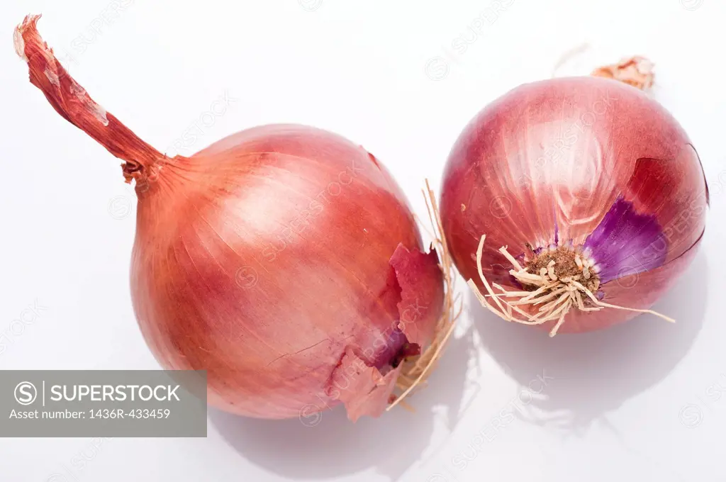 Whole red Purple onion on white Background